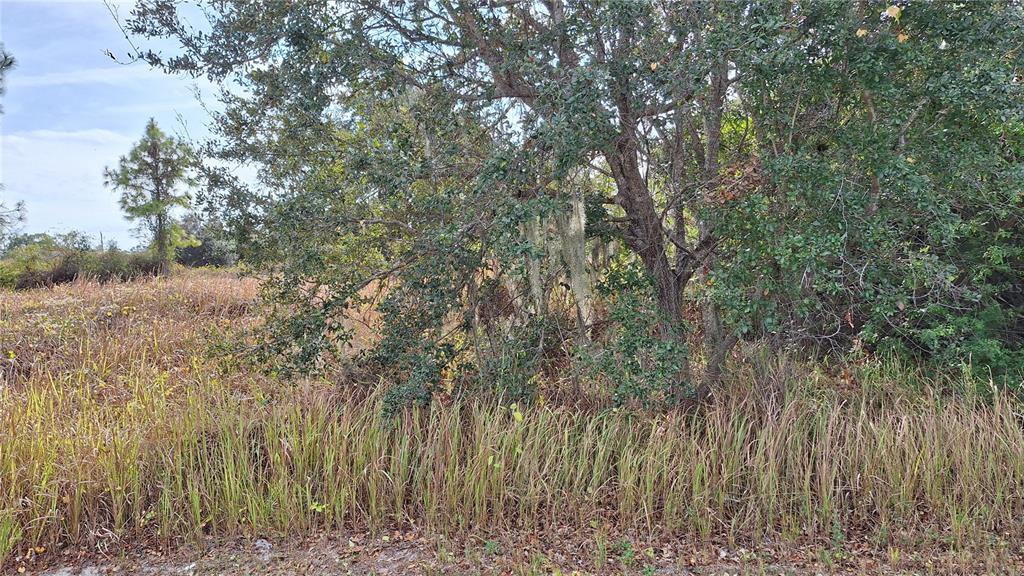 JAYLENE ROAD, NORTH PORT, FL — photo 3 of 5
