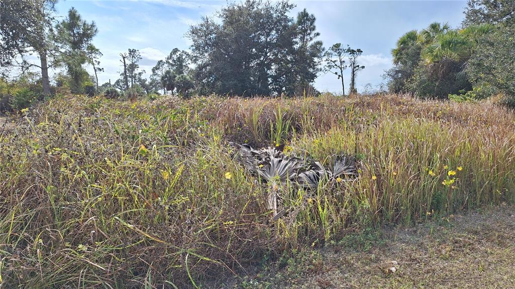 JAYLENE ROAD, NORTH PORT, FL — photo 4 of 5