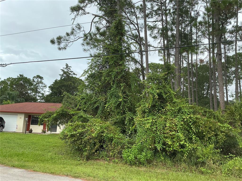A residential property exterior features a house partially obscured by dense, overgrown vines and trees — 191 BOULDER ROCK DRIVE, PALM COAST, FL