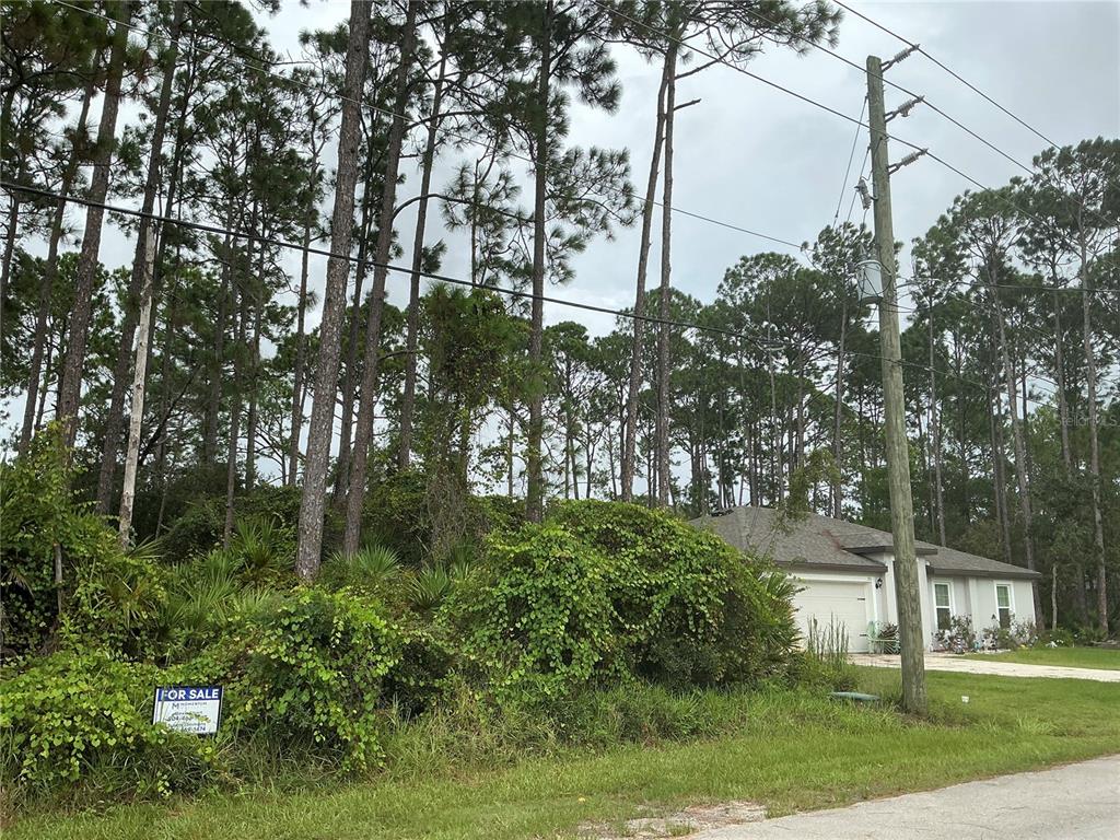 A grassy lot with dense trees and vegetation sits next to a house with a garage — 191 BOULDER ROCK DRIVE, PALM COAST, FL