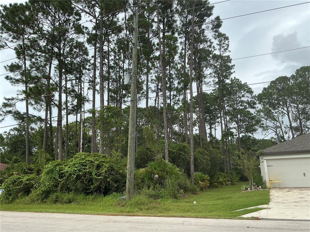 A large tree covered in dense vines stands next to a house with a red roof — 191 BOULDER ROCK DRIVE, PALM COAST, FL