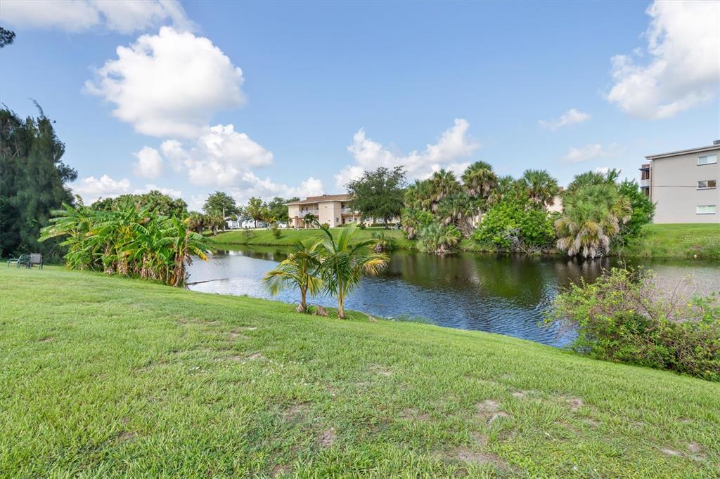 A grassy lawn slopes down to a pond surrounded by palm trees and apartment buildings — 3107 EASY STREET, PORT CHARLOTTE, FL