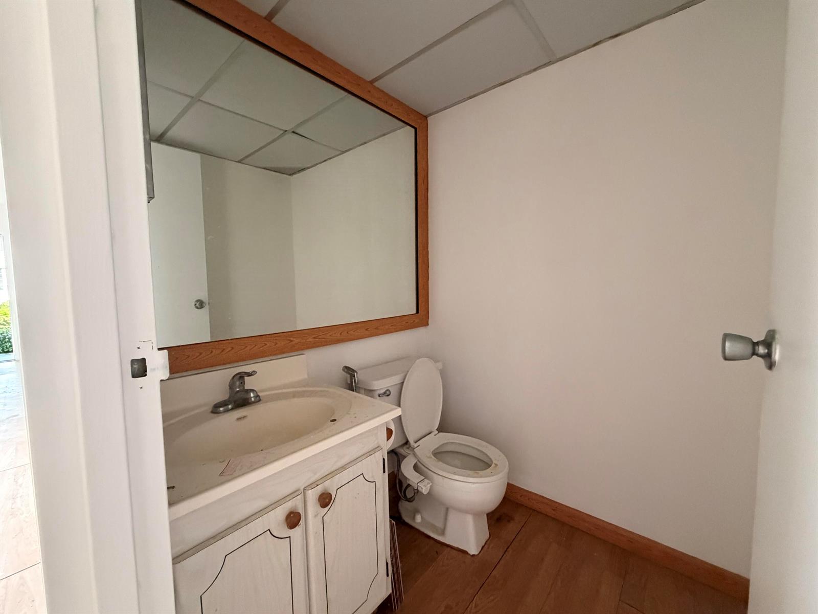A small bathroom features a vanity with a mirror, a toilet, and wood-look flooring — 355 Brittany H, Delray Beach FL 33446, DELRAY BEACH, FL