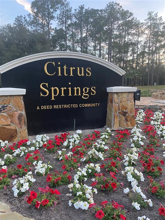 A stone and black sign for Citrus Springs sits behind a bed of red and white flowers — 9540 N PINEVIEW WAY, CITRUS SPRINGS, FL