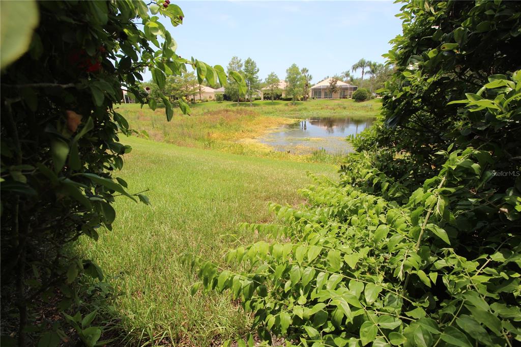 A grassy lawn slopes down toward a small pond with houses in the background — 5506 MODENA PLACE, SARASOTA, FL