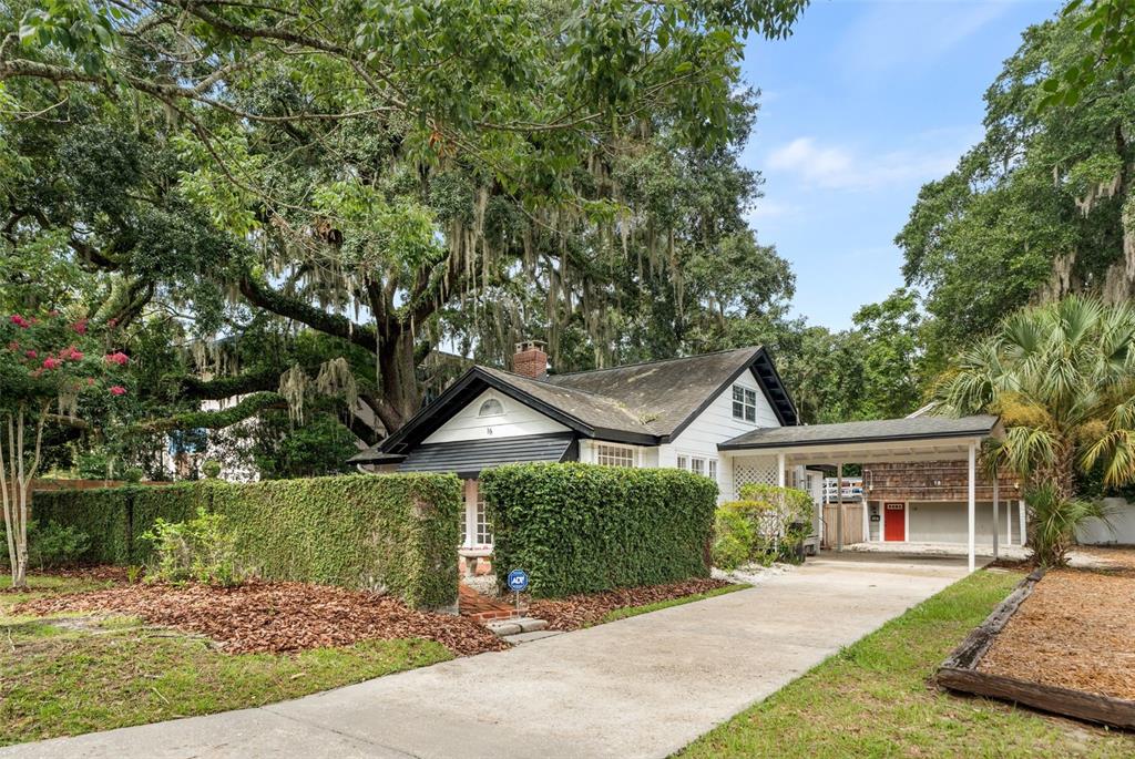 A white house with a black roof and a carport sits behind a tall hedge — 16 NW 20TH TERRACE, GAINESVILLE, FL