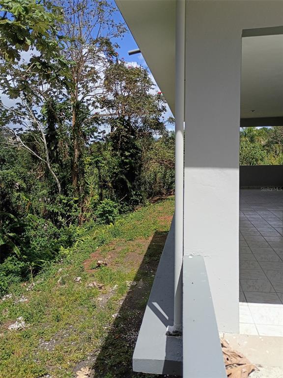 A view from a covered porch looking out toward a dense, wooded hillside — 156 BO. BAYAMONCITO, AGUAS BUENAS, PR