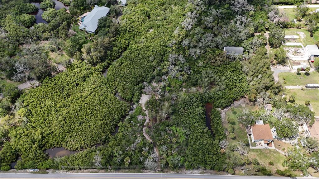 An aerial view shows a wooded lot with dense vegetation and a small creek — MAIN STREET, NEW PORT RICHEY, FL