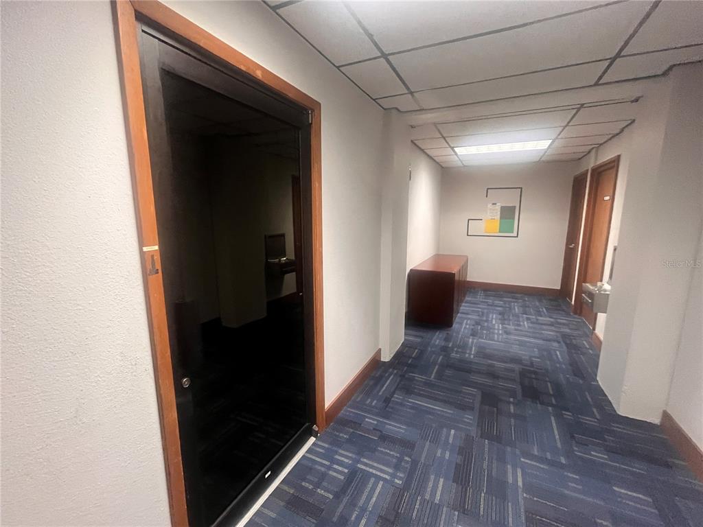 A hallway with blue patterned carpet, a dark glass door, and a wooden console table — 141 E CENTRAL AVENUE UNIT 350, WINTER HAVEN, FL