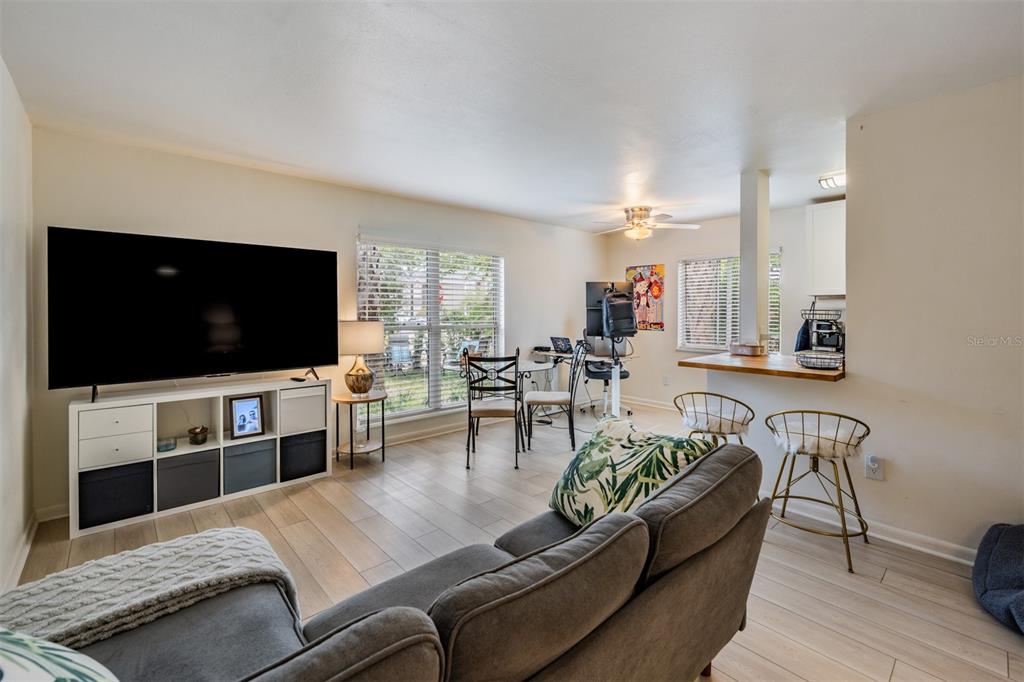 A living room features a large television, a gray sectional sofa, and a breakfast bar — 2109 W DE LEON STREET, TAMPA, FL