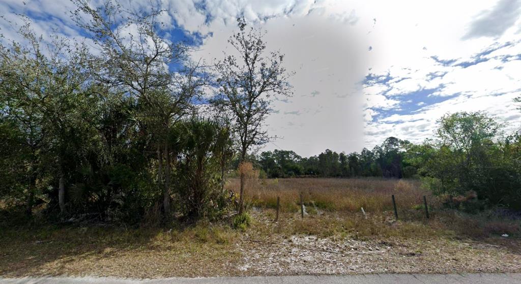 A vacant, grassy lot with scattered trees and shrubs is enclosed by a wire fence — 329 GENOA AVENUE S, LEHIGH ACRES, FL