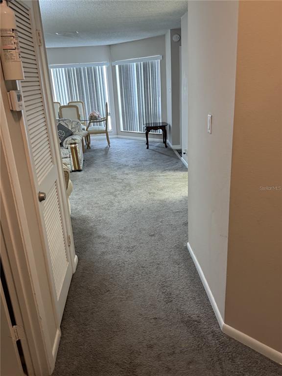 A carpeted hallway leads into a living area with large windows and vertical blinds — 2430 LEMON TREE LANE UNIT 2I, ORLANDO, FL