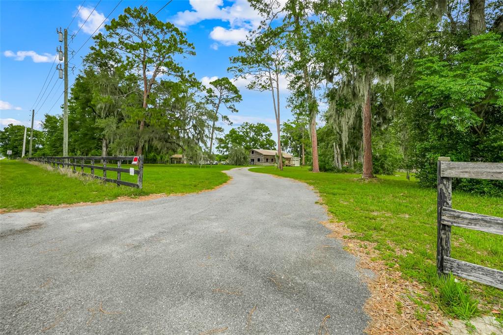 A gravel driveway leads through a wooden fence toward a house surrounded by tall trees — 4801 SE HIGHWAY 42, SUMMERFIELD, FL