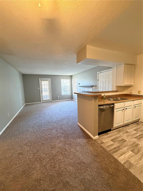 A kitchen with white cabinets and a dishwasher overlooks a carpeted living area with windows — 4367 THORNBRIAR LANE UNIT 107, ORLANDO, FL