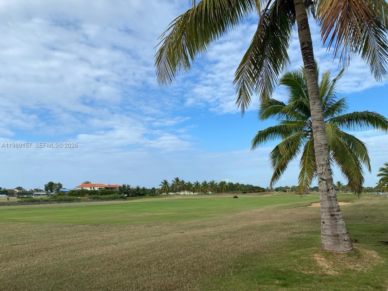 A palm tree stands in the foreground overlooking a grassy golf course under a blue sky — La Canada Town Home 10B (TH10B), FL