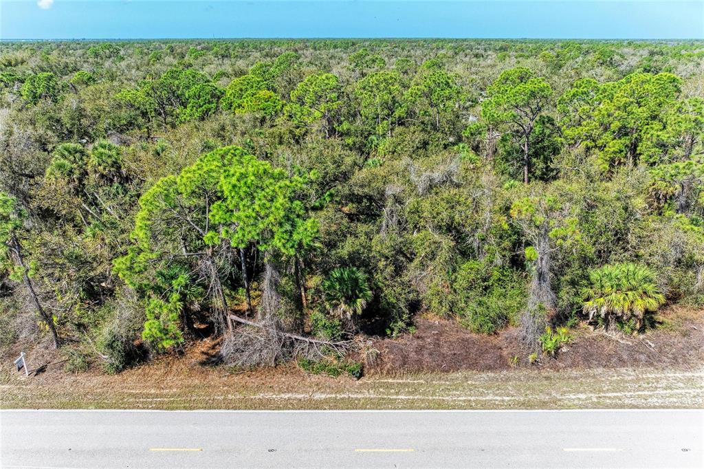 An aerial view shows a paved road bordering a dense, wooded lot with pine trees — 3107 COMO STREET, PORT CHARLOTTE, FL