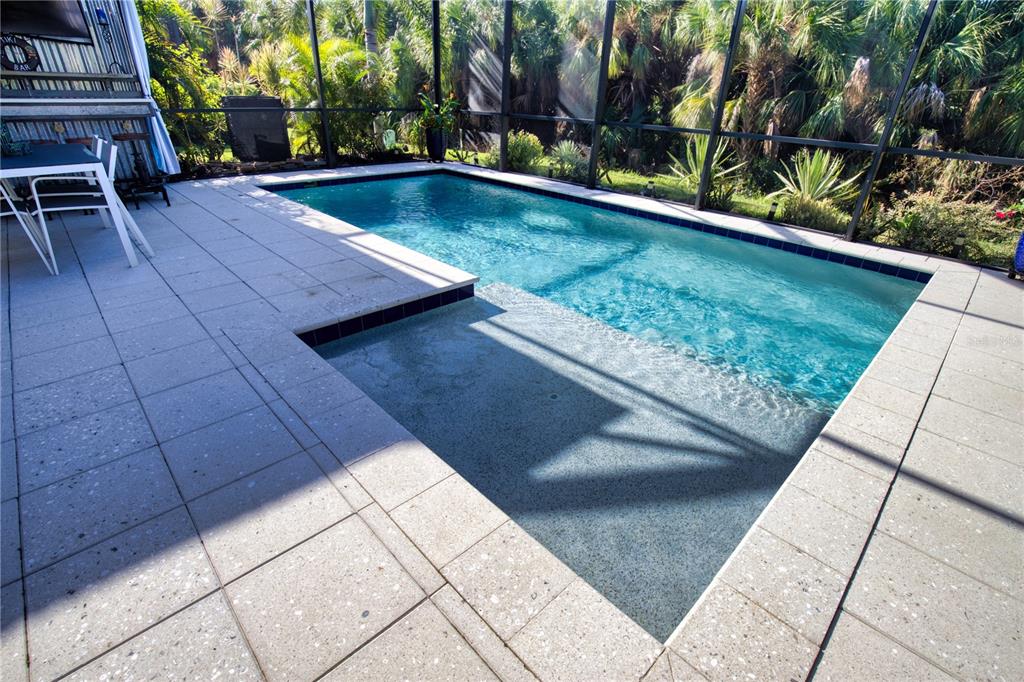 A rectangular swimming pool with a sun shelf is enclosed by a screened-in lanai — 209 MESTRE PLACE, NORTH VENICE, FL