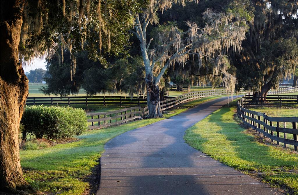 12870 W HIGHWAY 40, OCALA, FL — photo 4 of 30