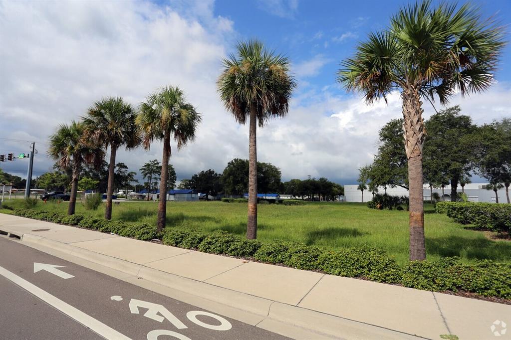 A row of palm trees stands along a sidewalk next to an empty grassy lot — 4201 W CREST AVENUE, TAMPA, FL