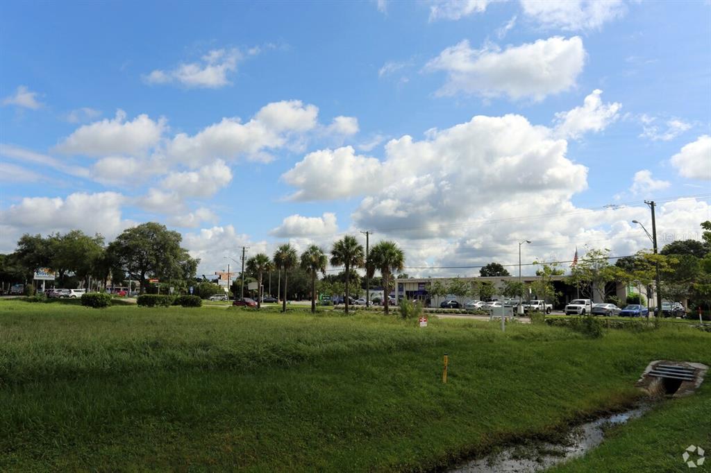 A grassy field with a drainage ditch in the foreground and palm trees in the background — 4201 W CREST AVENUE, TAMPA, FL
