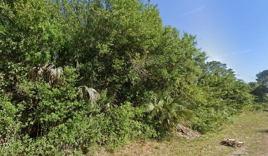A dense thicket of trees and palmetto bushes borders a grassy area under a blue sky — 4702 VERA AVENUE N, LEHIGH ACRES, FL