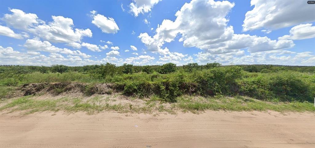 A dirt road runs in front of a vacant, overgrown lot with scattered trees — HOLOPAW GROVES ROAD, ST CLOUD, FL