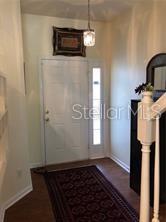 An entryway features a white front door with a sidelight, a pendant light, and a rug — 948 VISTA CAY COURT, BRANDON, FL