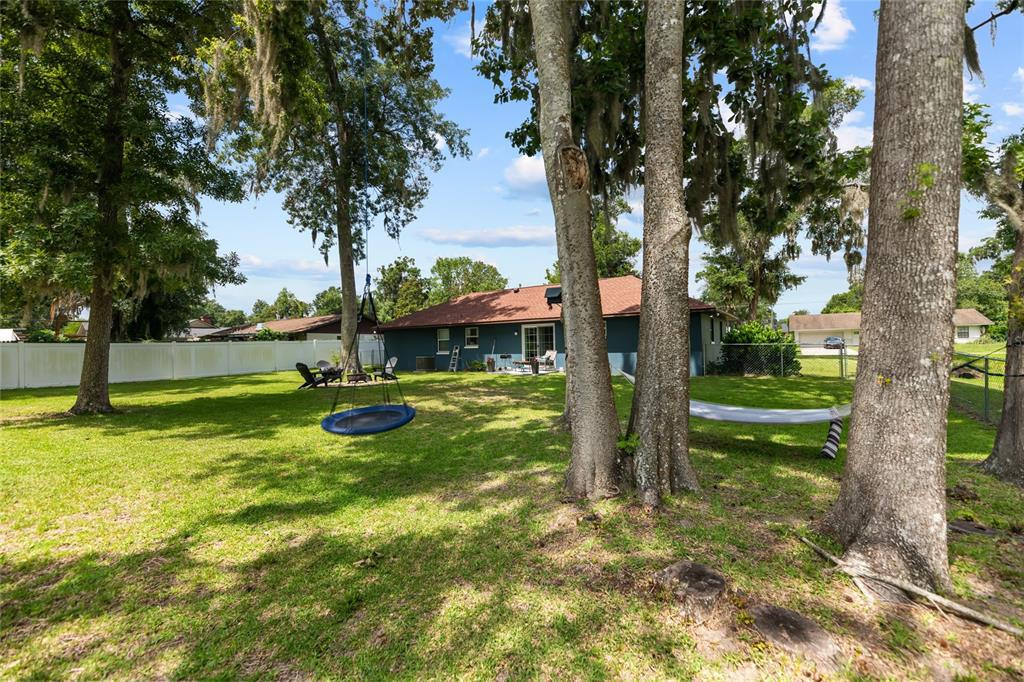 A backyard features a blue house, a round swing hanging from a tree, and a hammock — 4953 SE 33RD TERRACE, OCALA, FL