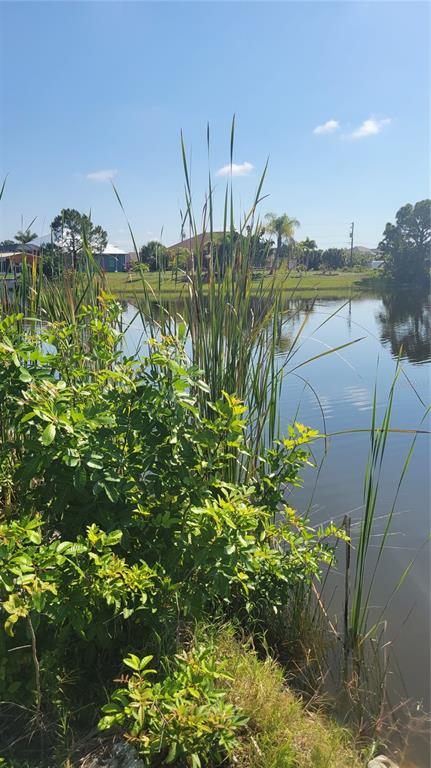 A view of a calm pond with tall reeds and green bushes in the foreground — 14718 LILLIAN CIRCLE, PORT CHARLOTTE, FL