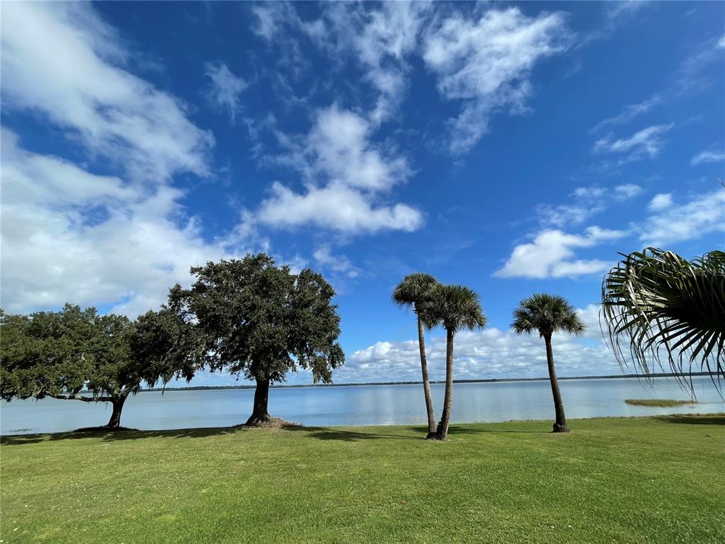 A grassy lawn leads to a lakefront view with several large trees under a blue sky — 38230 YALE CIRCLE, LEESBURG, FL