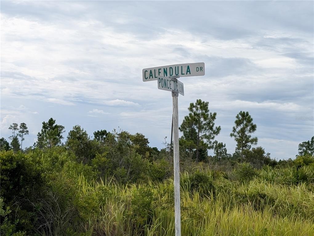 A street sign for Calendula Drive and Ponce de Leon stands before a grassy, wooded area — 511 CALENDULA DRIVE, INDIAN LAKE ESTATES, FL