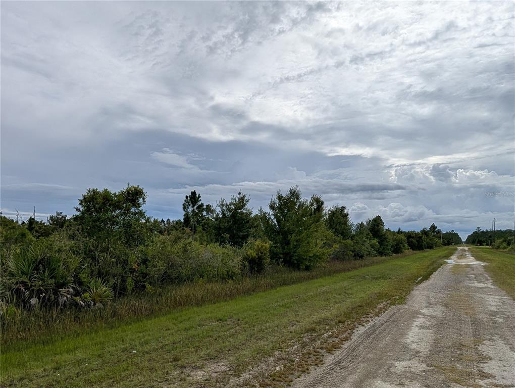 A dirt road runs alongside a grassy field bordered by a line of trees — 511 CALENDULA DRIVE, INDIAN LAKE ESTATES, FL