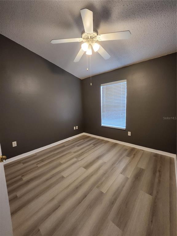 An empty bedroom features dark gray walls, light wood-look flooring, and a ceiling fan — 30151 BARNABY LANE, WESLEY CHAPEL, FL
