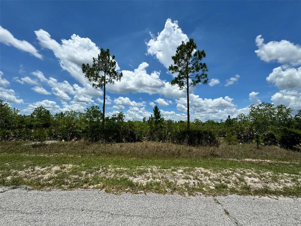 A view of a vacant, grassy lot with scattered trees under a blue sky — Lot #2 MEADOWLARK BOULEVARD, INDIAN LAKE ESTATES, FL
