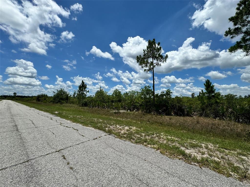 A paved road runs alongside a vacant, wooded lot under a bright, cloudy blue sky — Lot #2 MEADOWLARK BOULEVARD, INDIAN LAKE ESTATES, FL