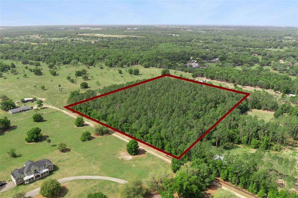 An aerial view shows a rectangular plot of wooded land outlined in red — LAKE SENECA ROAD, EUSTIS, FL