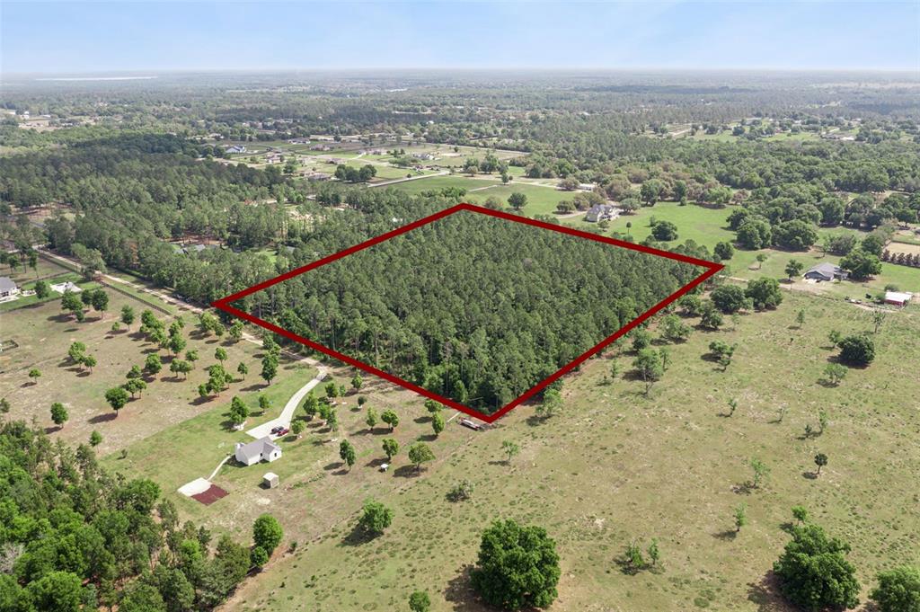 An aerial view shows a rectangular wooded lot outlined in red amidst open pasture land — LAKE SENECA ROAD, EUSTIS, FL