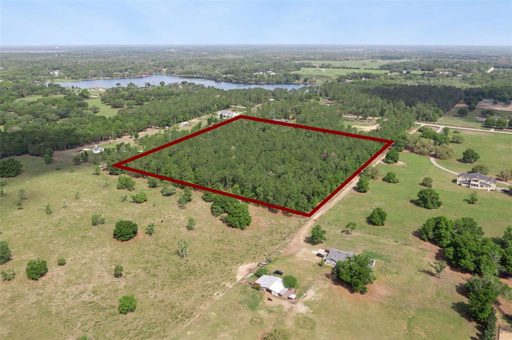 An aerial view shows a large, rectangular wooded lot outlined in red amidst rural land — LAKE SENECA ROAD, EUSTIS, FL