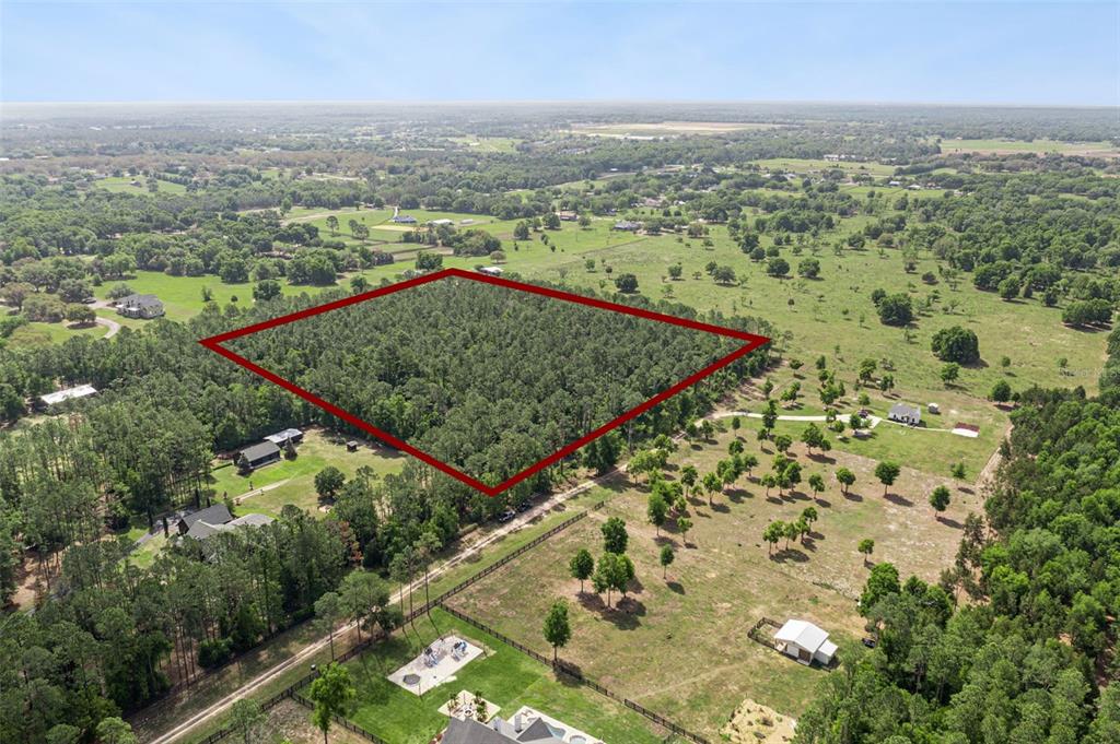 An aerial view shows a large, rectangular plot of wooded land outlined in red — LAKE SENECA ROAD, EUSTIS, FL