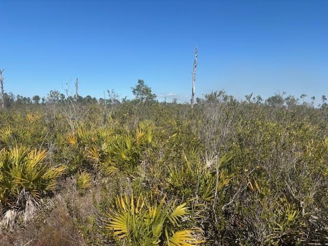 A landscape view of a Florida scrub habitat featuring saw palmettos and scattered dead trees — 0 Hwy 630e, Frostproof FL 33843, FROSTPROOF, FL