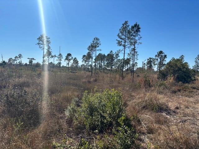 A grassy, open field with sparse pine trees under a clear blue sky — 0 Hwy 630e, Frostproof FL 33843, FROSTPROOF, FL