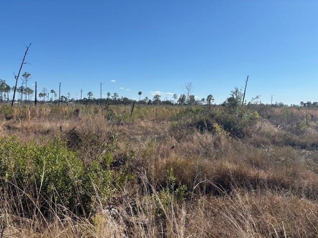 A wide, flat, undeveloped grassy field with scattered trees under a clear blue sky — 0 Hwy 630e, Frostproof FL 33843, FROSTPROOF, FL
