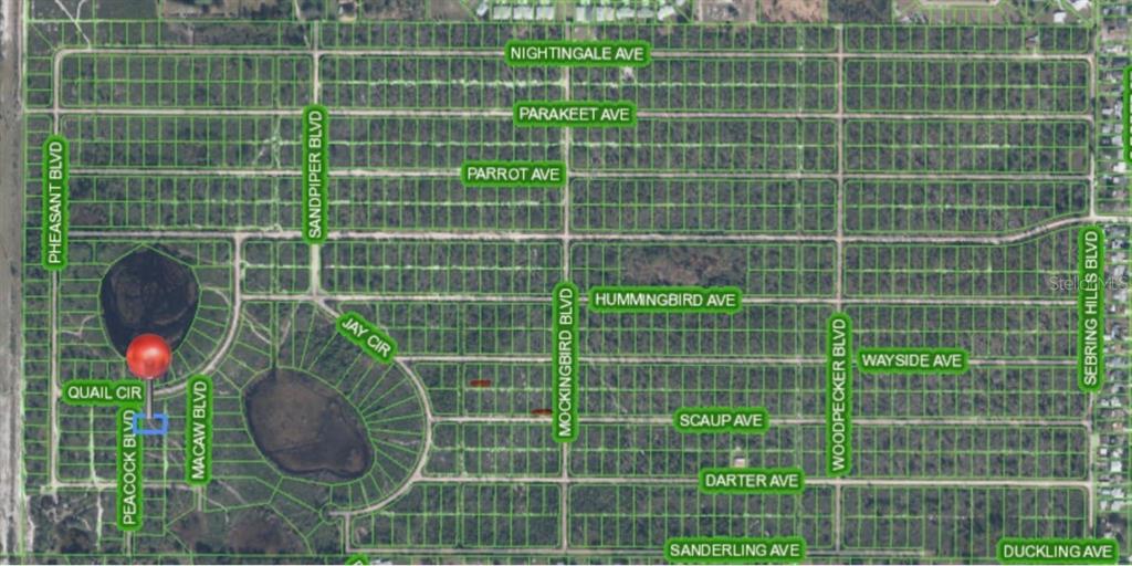 This is a map showing a residential area with street names and a property pin — 226 PEACOCK BOULEVARD, SEBRING, FL