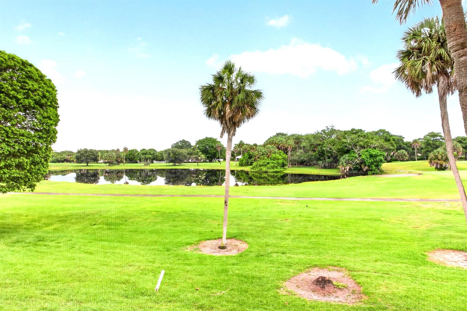 A view of a golf course fairway with a pond, palm trees, and surrounding woods — 806 Cypress Boulevard # 209, Pompano Beach FL 33069, POMPANO BEACH, FL