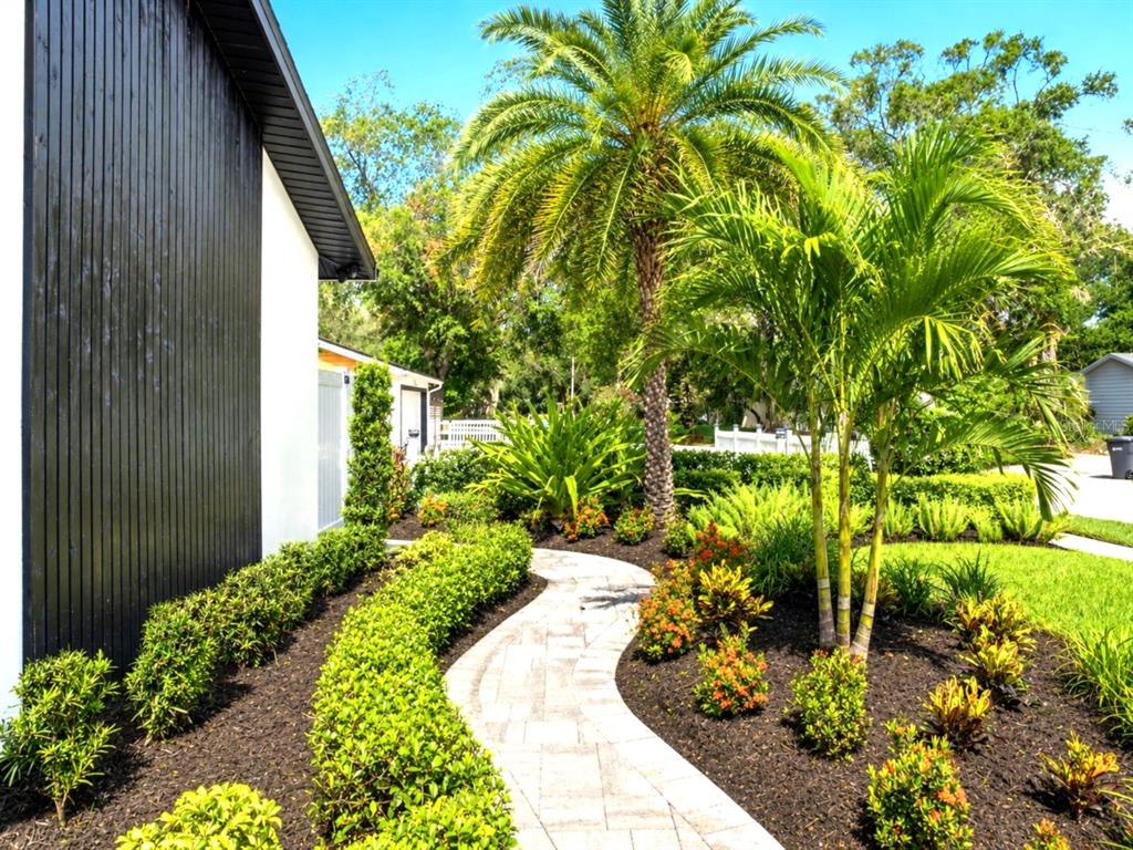 A paved walkway winds through a landscaped garden with palm trees beside a modern house — 906 SAMY DRIVE, TAMPA, FL
