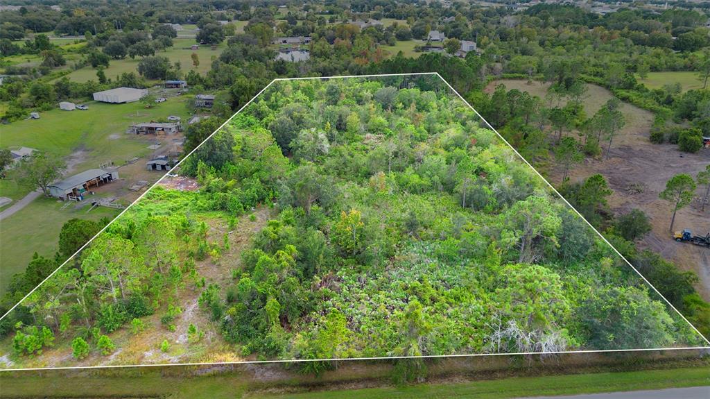 An aerial view shows a wooded, trapezoidal plot of land bordered by a road — HIGH PLAINS LANE, KISSIMMEE, FL