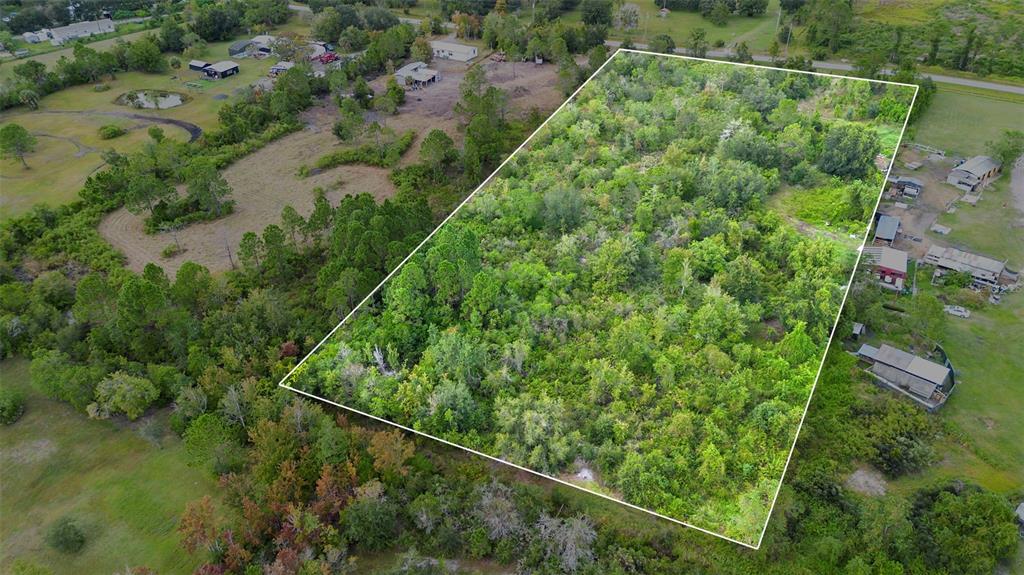 An aerial view shows a rectangular, tree-covered plot of land outlined in white — HIGH PLAINS LANE, KISSIMMEE, FL
