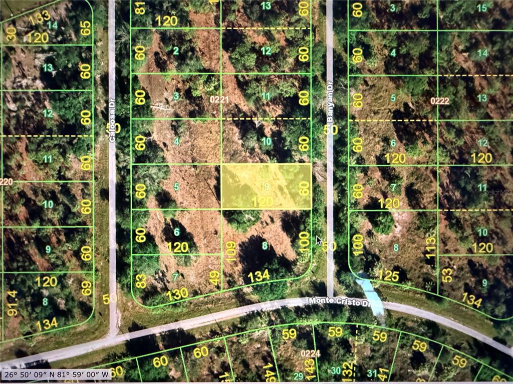 This is an aerial map showing residential land parcels and street layouts — 13263 BANYAN DRIVE, PUNTA GORDA, FL