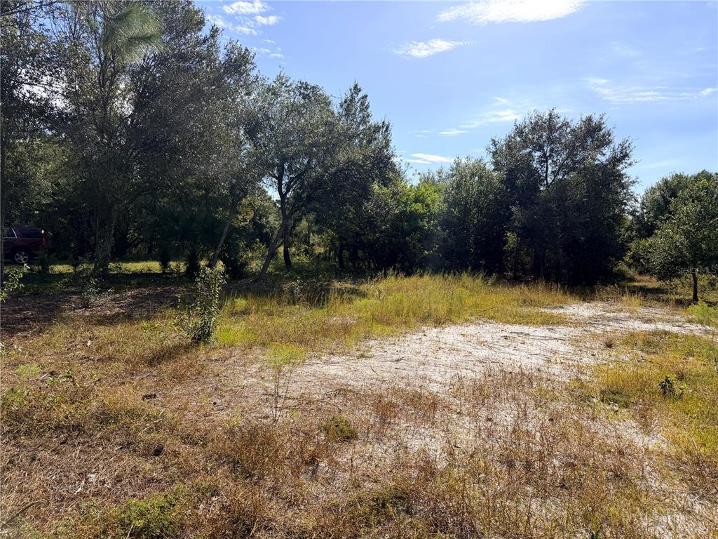 A vacant, sandy lot features patches of dry grass and is bordered by mature trees — 13263 BANYAN DRIVE, PUNTA GORDA, FL