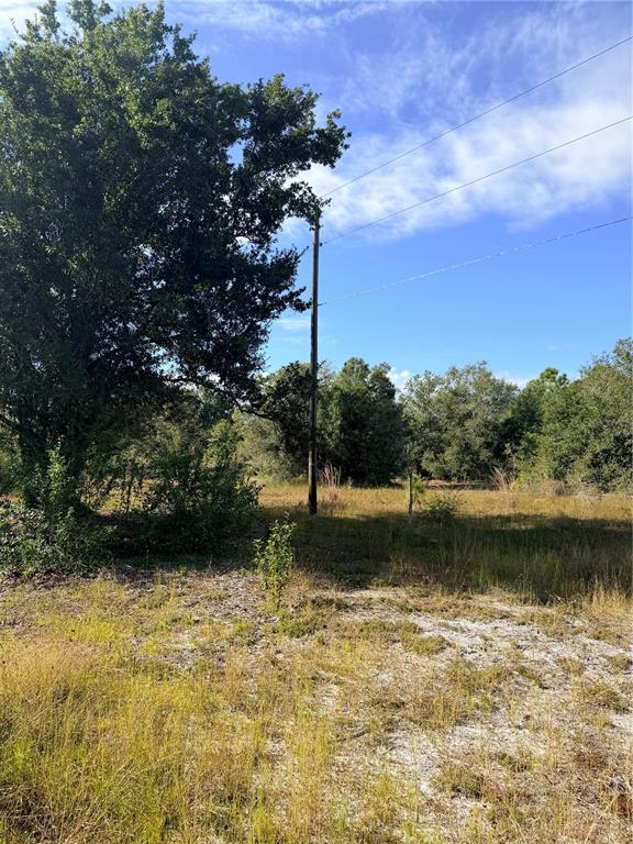 A utility pole stands in a grassy, wooded lot under a blue sky — 13263 BANYAN DRIVE, PUNTA GORDA, FL